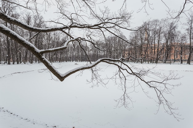 Winter park a San Pietroburgo, Russia.