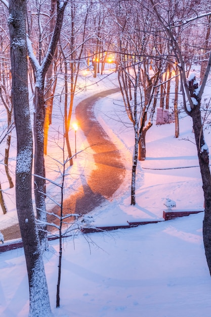 Winter park in the evening in the snow