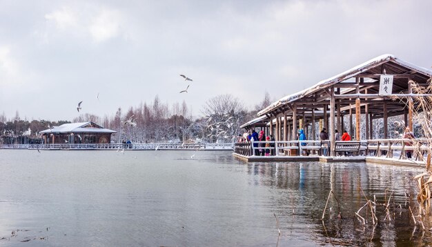 Winter park scena di neve