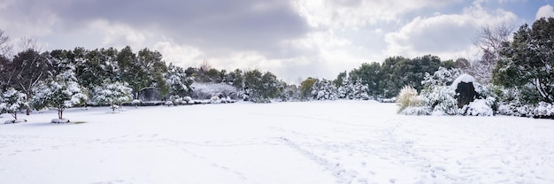 Winter park scena di neve