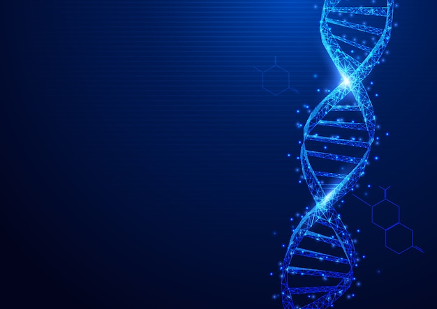 Wireframe DNA molecules structure mesh from a starry