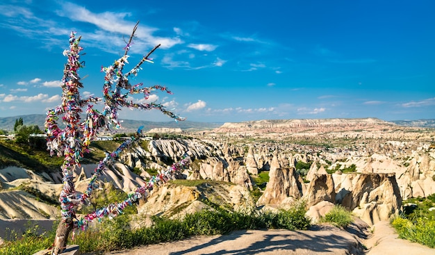 Wish Tree a Goreme Valley in Cappadocia, Turchia