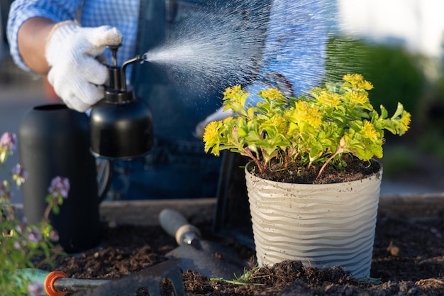 Womangardener sta spruzzando una pianta con erogatore d'acqua in giardino