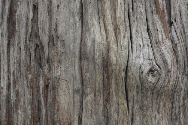 Wood Texture