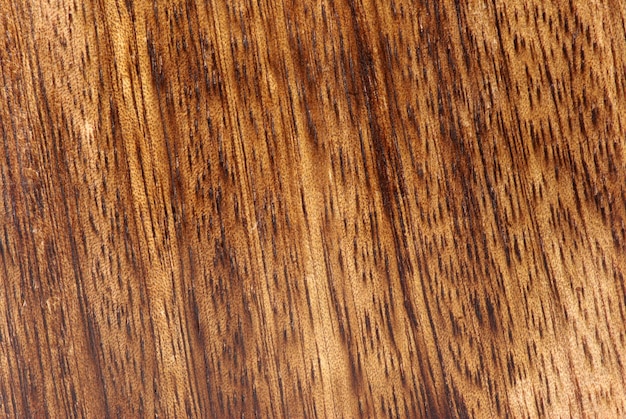 Wood Texture