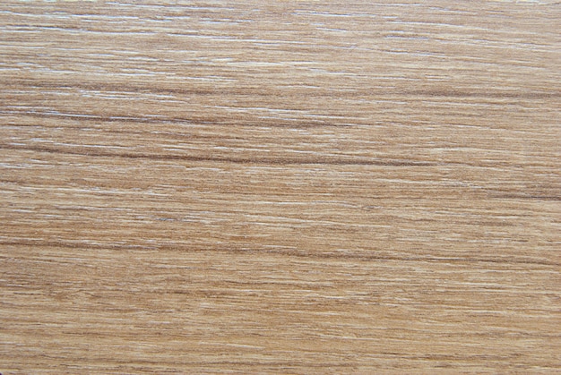 Wood Texture