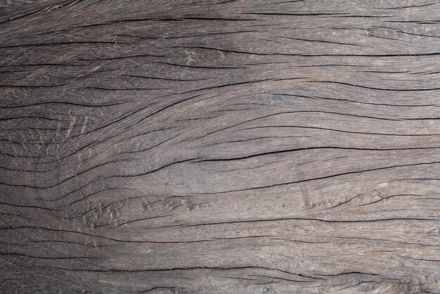 Wood Texture