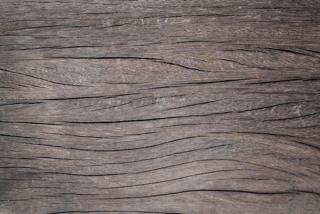 Wood Texture