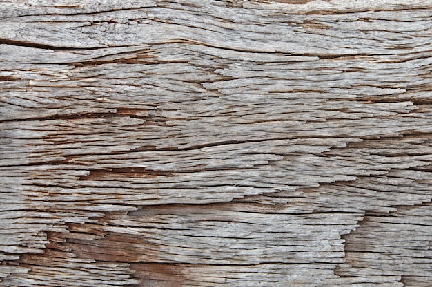 Wood Texture