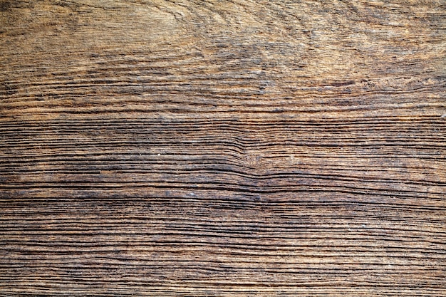 Wood Texture