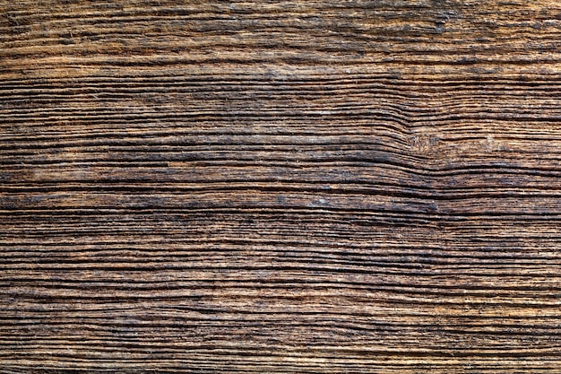 Wood Texture