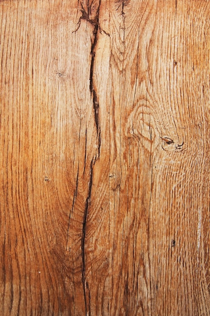 Wood Texture