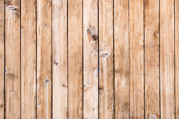 Wood Texture