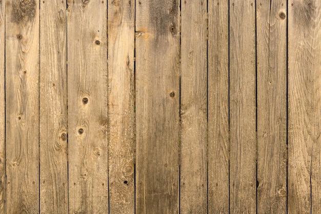 Wood Texture