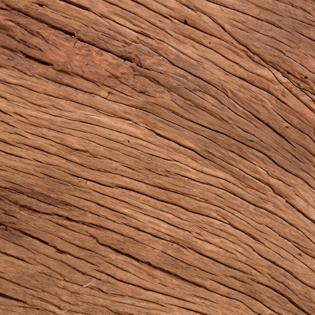 Wood Texture