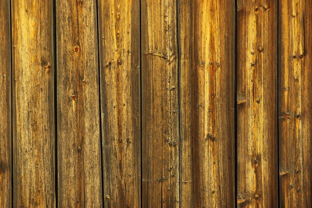 Wood Texture