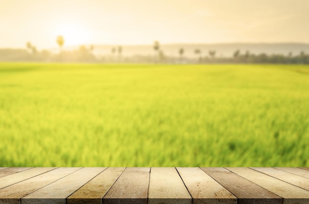 Wooden table against rice field blurry background