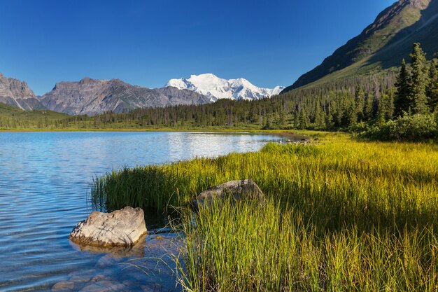 Wrangell-St. Parco nazionale e riserva di Elias, Alaska.