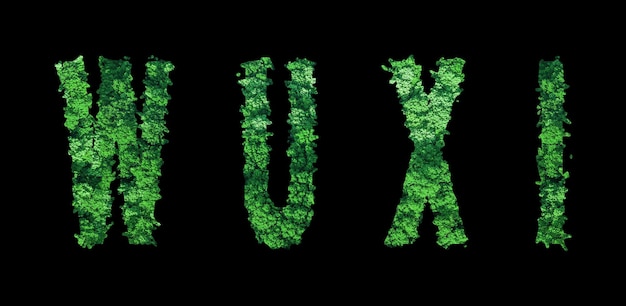 Wuxi scritte Concetto di ecologia della foresta di Wuxi