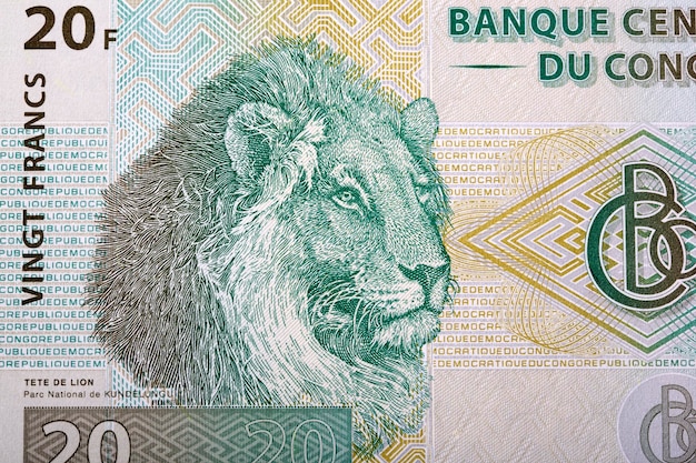 X9Lion Kundelongu Park dal franco congolese