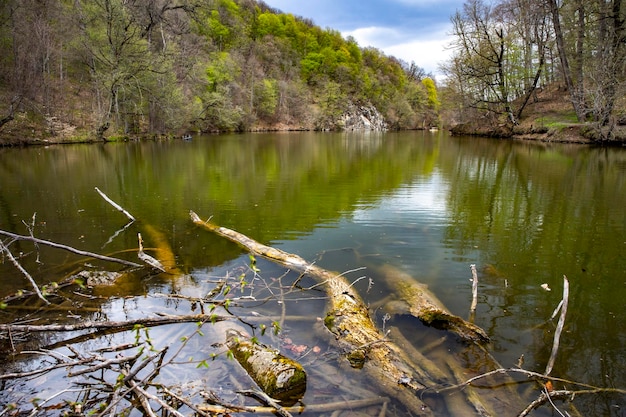 X9xAFoglie colorate sugli alberi lungo il lago