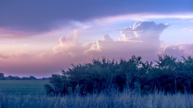 XABelle nuvole lilla nel cielo sopra il campo in estate