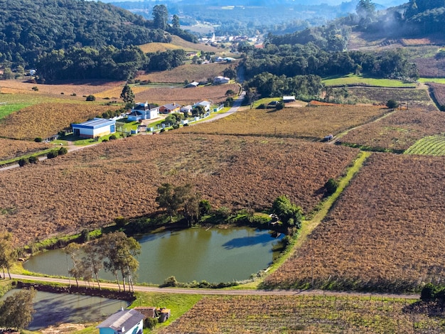 XACantine e vigneti a Flores da Cunha e Nova Padua Rio Grande do Sul