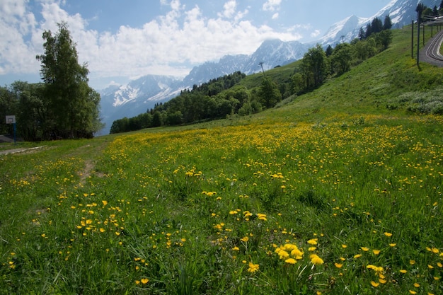 XAPaesaggio delle Alpi francesi