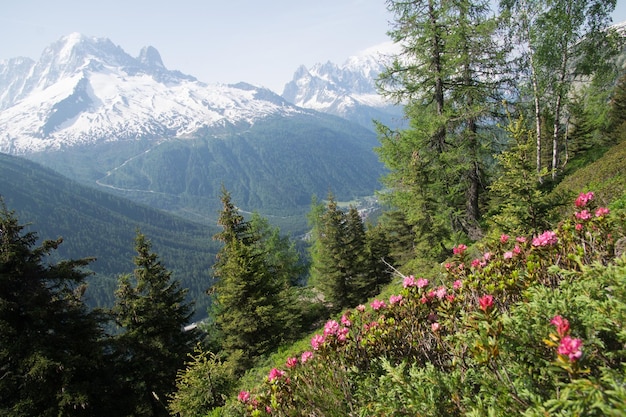 XAPaesaggio delle Alpi francesi