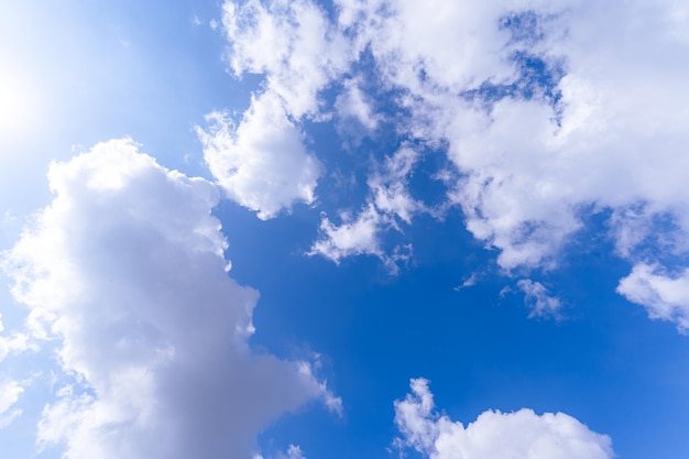 XAspring rami di quercia sul cielo blu