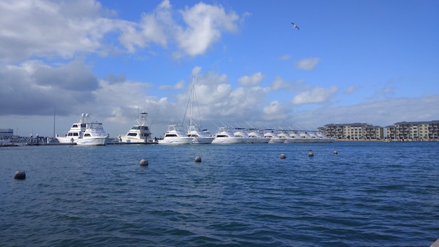 Yacht in piedi nell'acqua stagnante