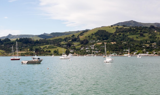 Yacht nel porto di Akaroa NZ