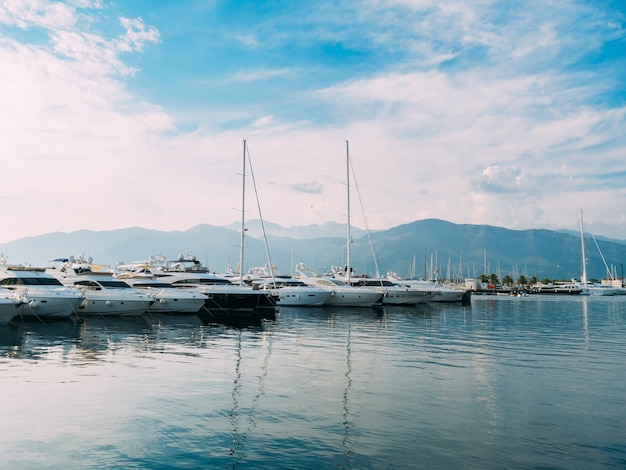 Yacht Porto Montenegro. Zona d'élite di Tivat in Montenegro