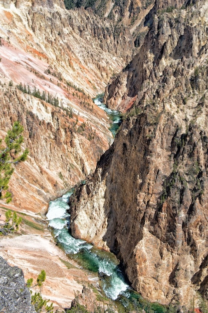 Yellowstone Canyon vista con caduta e fiume