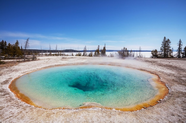 yellowstone