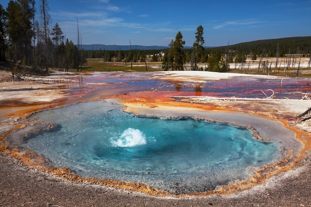 yellowstone