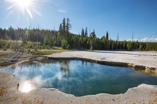 yellowstone