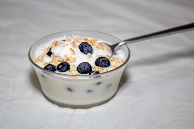 Yogurt naturale con fiocchi d'avena ai frutti di bosco e miele sano probiotico naturale