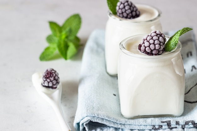 Yogurt naturale fatto in casa biologico in vasetti di vetro Prodotto a base di latte fermentato fresco e naturale