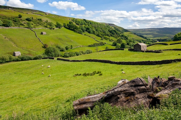 Yorkshire Dales Inghilterra