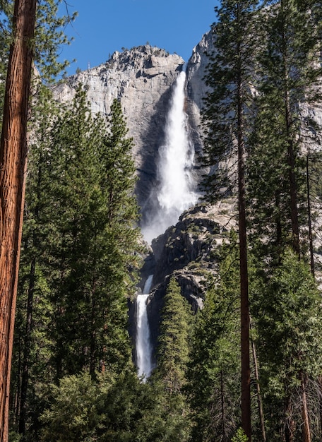 Yosemite Falls in alto e in basso