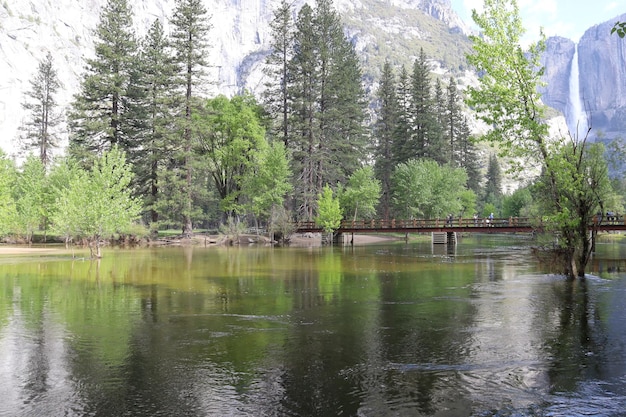 Yosemite in primavera