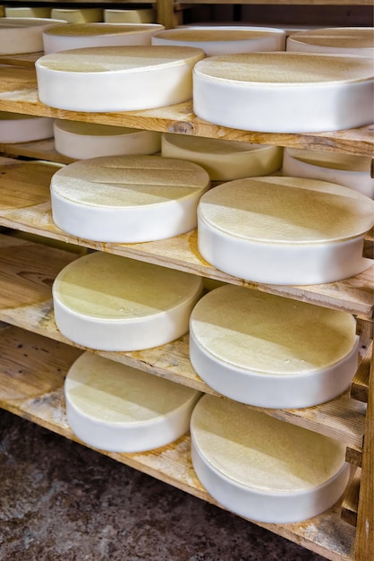 Young Cmnte Cheese su scaffali di legno nella cantina di stagionatura del caseificio Franche Comte, in Francia