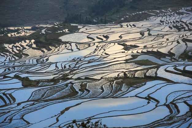 Yuanyang risaie terrazzate nel sud della provincia dello Yunnan in Cina Duoyishu scenico paesaggio naturale