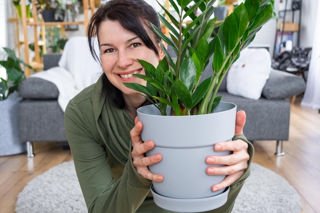 Zamioculcas senza pretese e popolare nelle mani di una donna all'interno di una casa verde con collezioni di scaffali di piante domestiche Produzione di colture domestiche