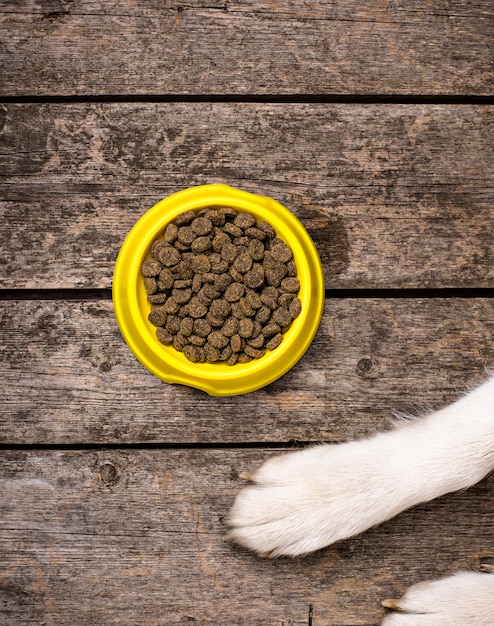 Zampe di cane e ciotola di cibo secco. Concetto di cibo per animali domestici