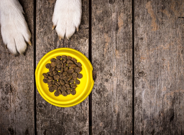 Zampe di cane e ciotola di cibo secco. Concetto di cibo per animali domestici