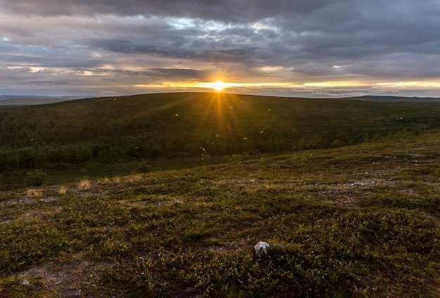 Zanzare sotto il sole al tramonto nella tundra, Finnmark, Norvegia
