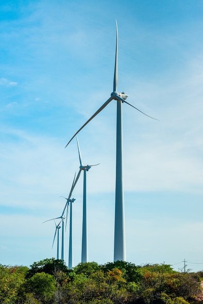 Zattera in mare e turbine eoliche ad Aracati vicino a Fortaleza Ceara Brasile