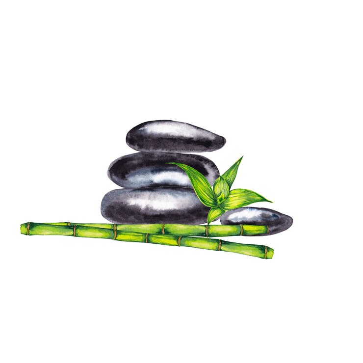 Zen spa ciottoli e steli di bambù verde e sparare con foglie. Pittura ad acquerello